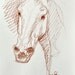 OOAK Horse Head Sketch 136