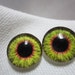 Doll or animal eyes- 12mm glass eyes- polymer clay safe