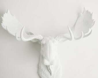 White Moose Head - The Edmonton - Moose Antlers In White - Moose Decoration Wall Hangings. Faux Animal Heads by White Faux Taxidermy