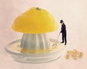 Lemon print, Food Photography, Yellow Kitchen Decor, Kitchen art, Summer, Lemon Photography, Lemon juicer Lemon print, Food Photography, Yellow Kitchen Decor, Kitchen art, Summer, Lemon Photography, Lemon juicer