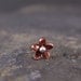 Tragus Plumeria Copper Flower Earring, 5-6mm, Hawaiian flower, body piercing