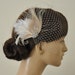 Birdcage Veil ,Feathers Fascinator,(2 ITEMS),Champagne bridal Feathers Fascinator, Hair Accessories,bridal head piece,