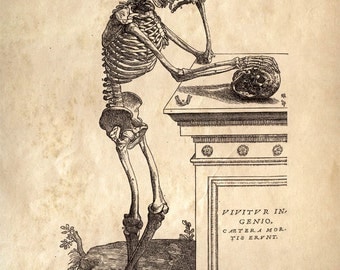 Skeleton Chart Anatomy of the Human Body Poster. Vintage Reproduction Print by Andreas Vesalius - Educational Biology Diagram Chart - CP111