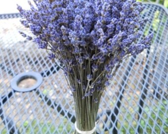 Dried Lavender (English) bundle / bunch - 8-10 inches
