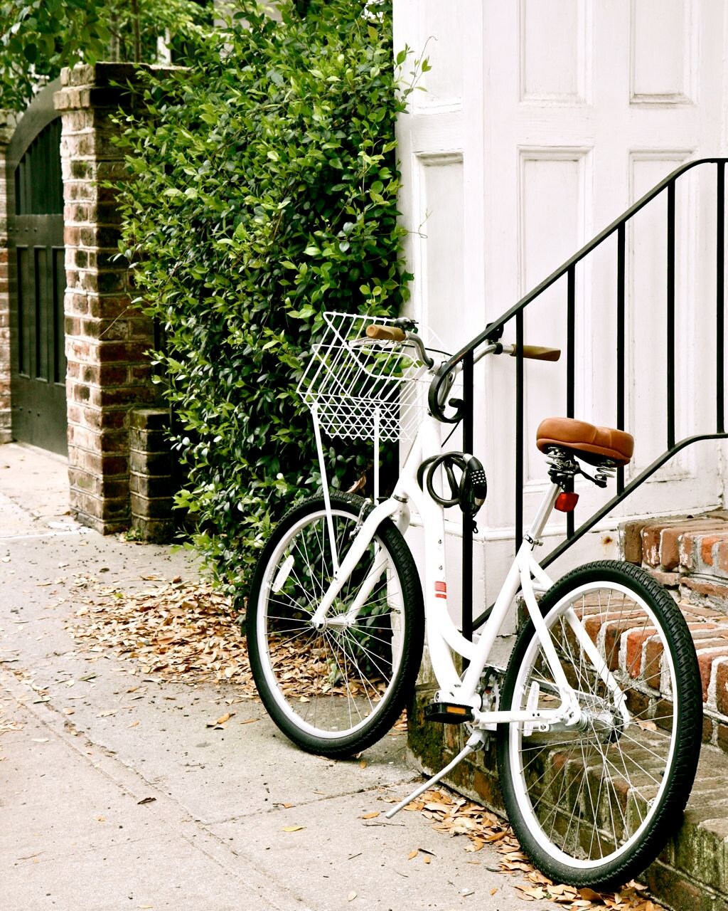 Southern Home Decor Bicycle Photograph White Bike Print