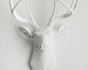 Faux Taxidermy Deer Head, The Templeton White Deer by White Faux Taxidermy, Resin Stag Head Wall Mount, Father's Day Wall Decor Sculpture