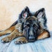 German Shepherd Portrait - German Shepherd Oil Painting