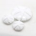 Margo lampwork beads sand dollar white (3)
