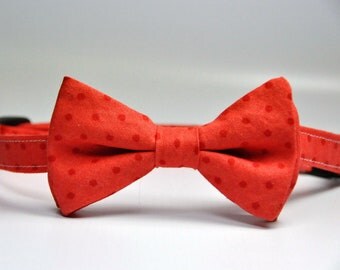 Pink and Red Polka Dot Bow Tie for Boys Bowtie