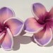 large sweet pink and purple and white polymer clay plumeria flower clip on earrings