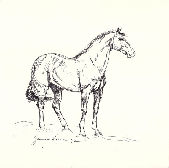  Horse art original pen ink horse drawing sketch Thoroughbred