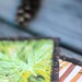 quilted pot holders - pine forest and bamboo grove