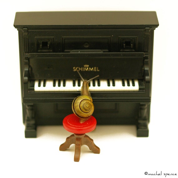 a bird playing a tiny piano