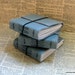 3 blank little pocket journals by bluetoad journals of tremundo