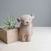 pocket bear / silas / brown bear