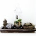 Plant Terrarium with Bird Cage Miniature Garden Scene - Easy to care for houseplant