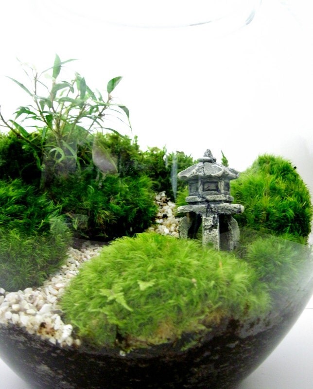 Asian Landscape Garden Terrarium with Miniature Path Pagoda