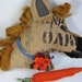 Reserved for Jenn Horse Pillow, Burlap Coffee Bag, with carrot and flower