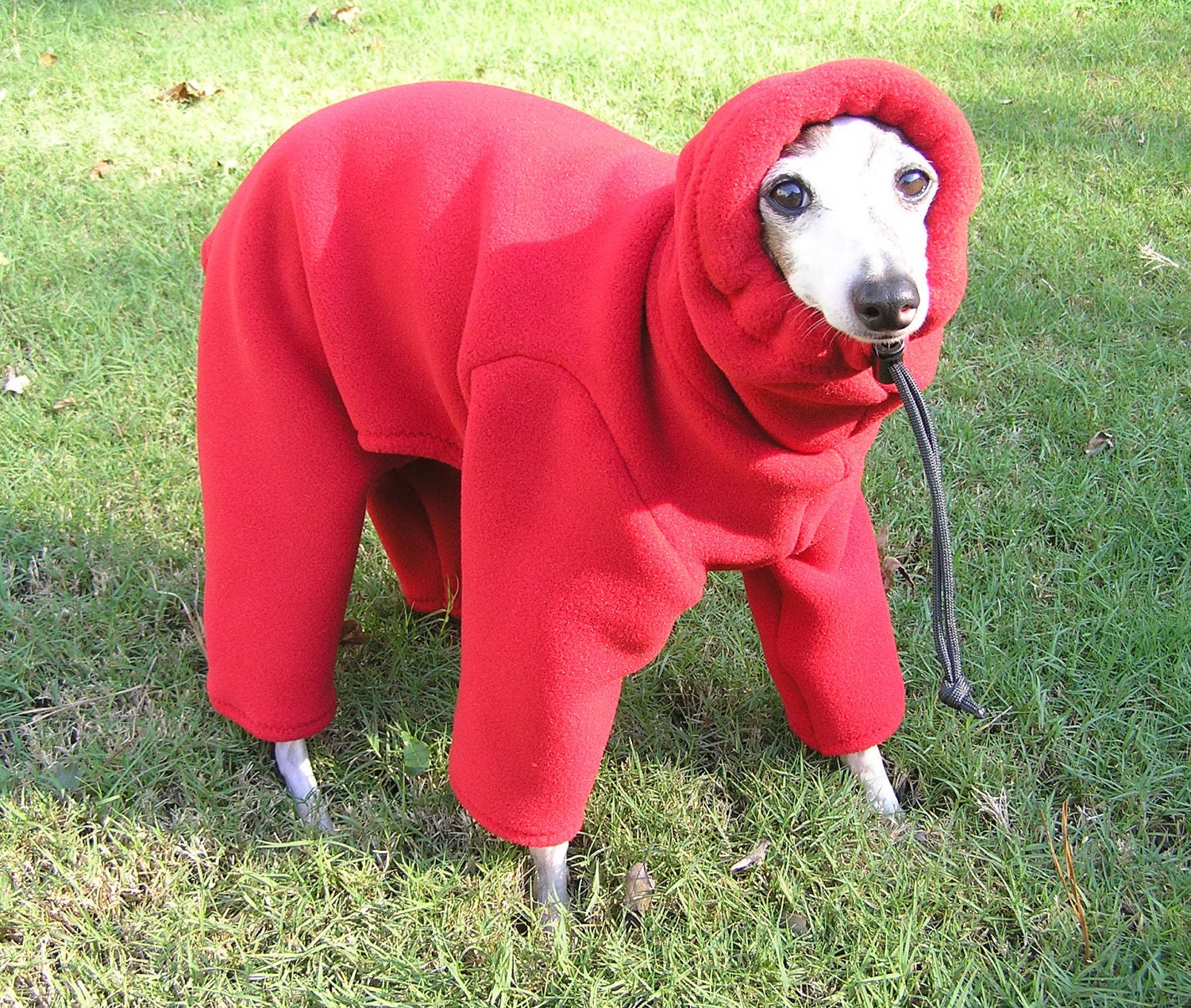 Polartec 300 weight Italian Greyhound Body Suit Malden Mills