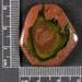 Royal Eyes Jasper Hand Cut Cabochon From Oregon JRE1