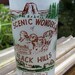 Vintage Frosted Black Hills, South Dakota Souvenir Glass