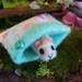 A tiny guinea pig for your dollhouse or BJD