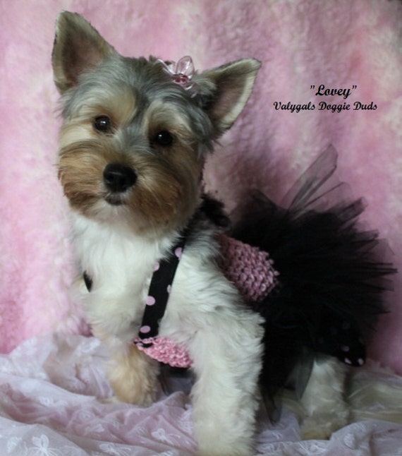 Tutu Diva Dog Dress Multi Size Dog Clothes by valygal on Etsy
