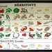 Vintage German chart of Nutrients