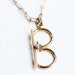 Crystal B Necklace