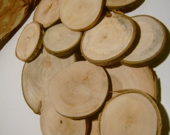 75 Assorted Blank Tree Branch Slices 1.5 to 2 inch