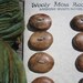8 Maple Wood Buttons-Handmade Wooden Buttons in Reclaimed Maple- Knitting, Sewing, Craft Buttons