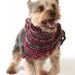 Autumn Dog Bandana
