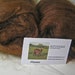 Suri Alpaca Fiber Batt, Silky & Oh So Soft, Natural Color, Flame, Locally Raised