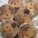 Wood Buttons - 6 Rustic Ohio Pine Wood Tree Branch Buttons - 2 holes, 1 7/8 inches - For journals, purses, pillows, and more