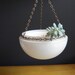Glass and Brass - Vintage Hanging Planter