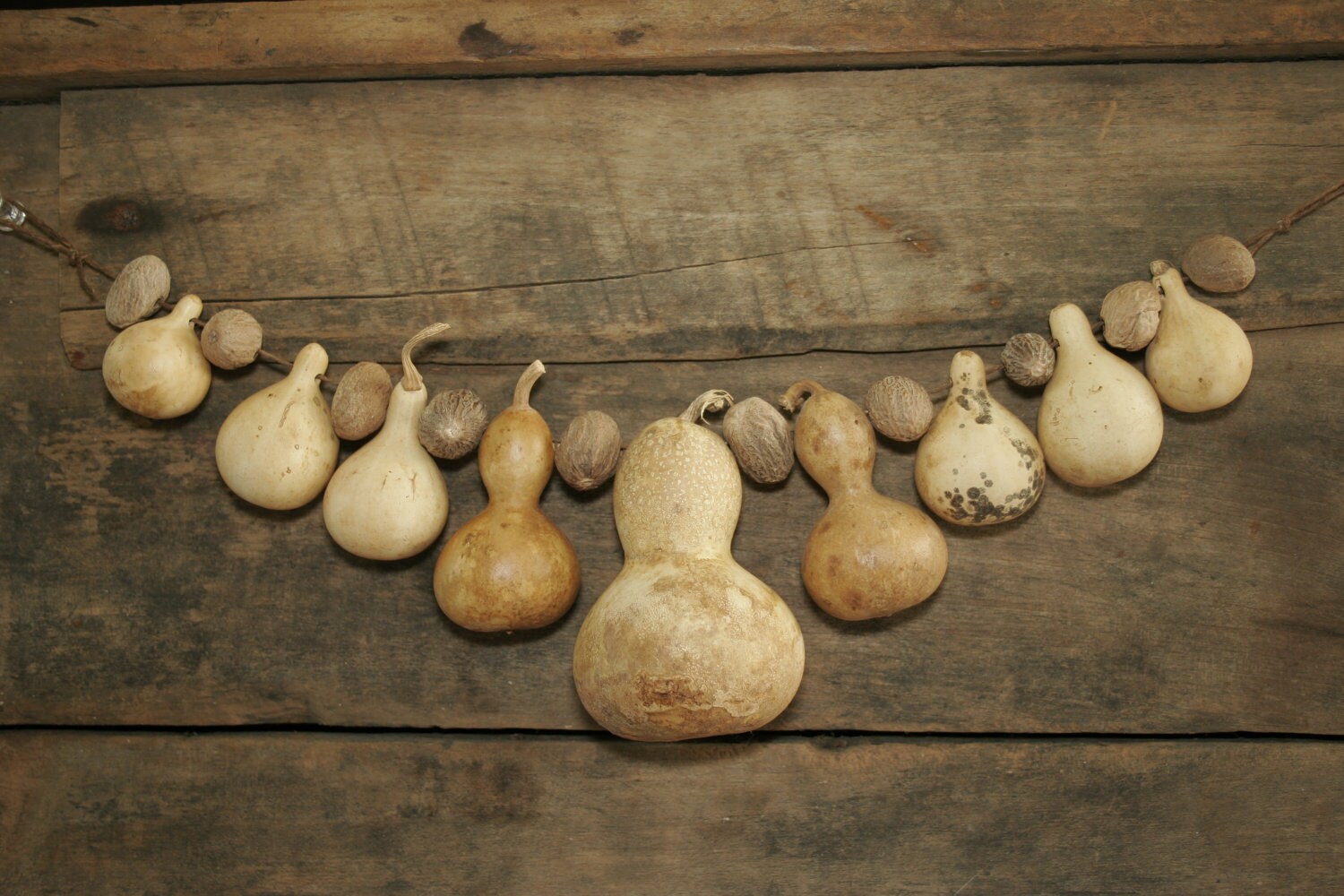 Antique Primitive Gourd Garland With Nutmeg