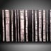 ORIGINAL Contemporary Fine Art Abstract Textured Painting modern 24 X 48 Inches ------- Textured--- --black and white--- Trees