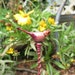Garden art, glass yard art, bird garden art, Bird nest plant stake