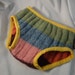 Upcycled Thick Wool Toddler Nighttime Bedwetting Training Underwear - Abbie 2736