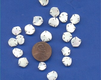 20 Mother of Pearl Fish Beads, Very Nice
