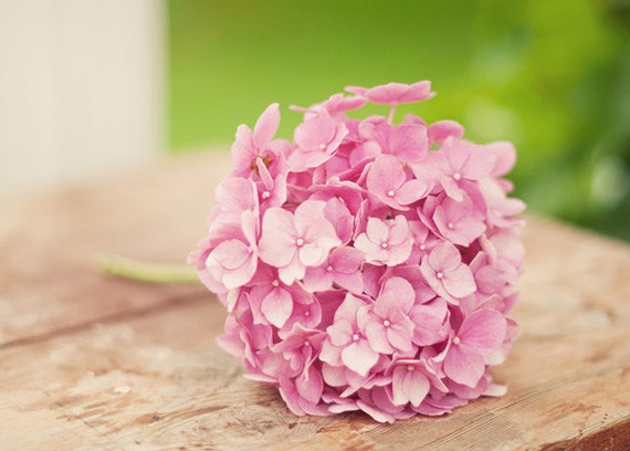 Items similar to Pink flower on vintage table   fine art