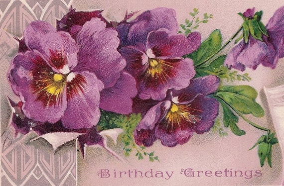 Antique Purple Pansies Postcard Birthday Greetings Card dated