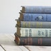 vintage stack of books - blue