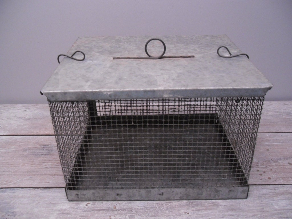 galvanized metal mesh box with lid