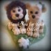 Custom Order for a Cheetah Wedding Cake Topper