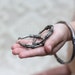 Vintage Bali Style Bracelet with Matching Hoop Earrings Jewelry