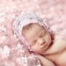 SALE - Leighton Heritage Newborn Posing Photography Prop Perfect Bean Bag Basket Stuffer Rose Fabric Backdrop Fluttery Layering (Soft Pink)
