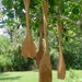 Vintage Wooden Cooking Utensils, Handcrafted, Mountain Gourmet