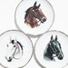 Vintage Collector Horse Plates Set Of Three Equine Art