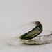 thin multifaceted eco resin ring with sun conure feather - size 8.5